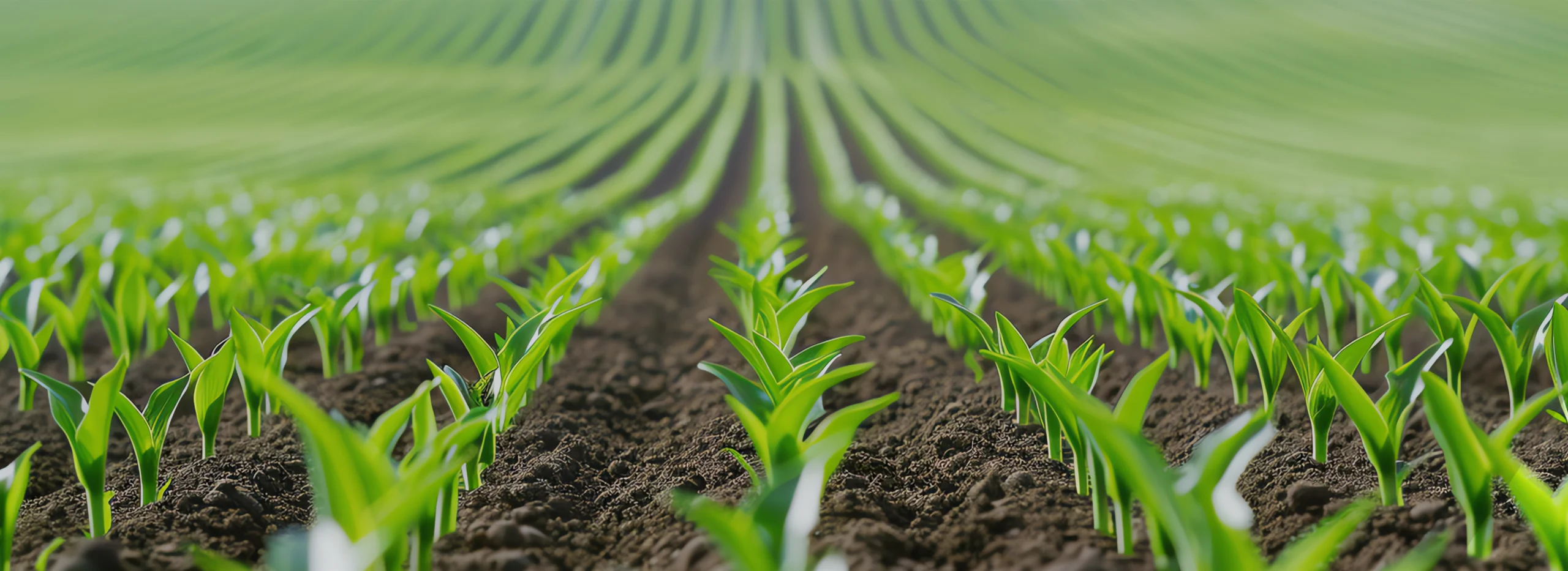 agri